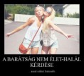 /album/fenykepgaleria/barat-1-jpg/